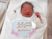 岡部ベビー