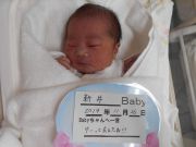新井ベビー