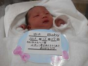 由木ベビー