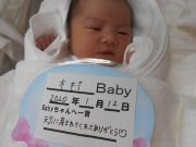木村ベビー