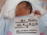 橋本ベビー