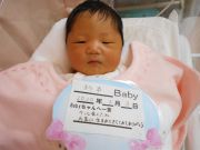 杉本ベビー