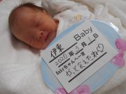 伊東ベビー