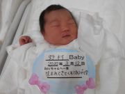 野村ベビー