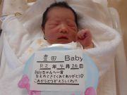 豊田ベビー