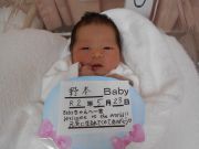 野本ベビー