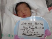 米塚ベビー