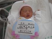 庄井ベビー