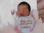 奥田ベビー