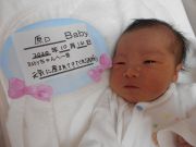 原口ベビー
