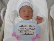 種子田ベビー