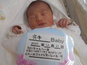 呉本ベビー