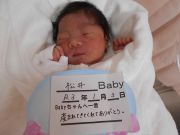 松井ベビー