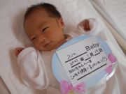 入江ベビー