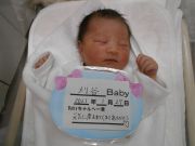 刈谷ベビー
