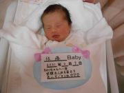 佐藤ベビー