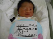 ほりうちベビー