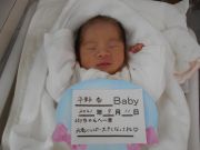 平野香ベビー