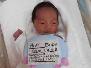 福井ベビー