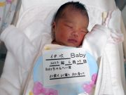 伊吹ベビー