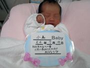 小島ベビー