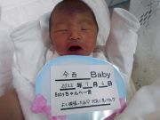 今西ベビー
