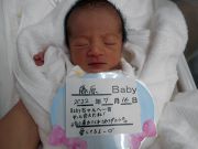 藤原ベビー