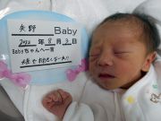 矢野ベビー
