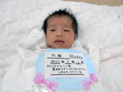 内藤ベビー