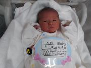 大林ベビー