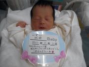 出井ベビー