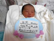 谷岡ベビー