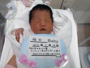 福田ベビー