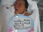 白井ベビー