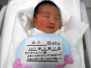 藤原ベビー