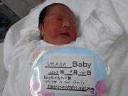 UMADAベビー