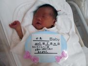 中尾ベビー
