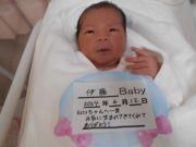 伊藤ベビー