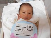 橋本ベビー