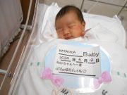 KATAOKAベビー