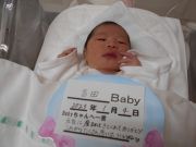 吉田ベビー