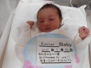 Kotterベビー
