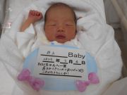 井上ベビー