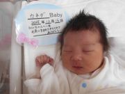 カネダベビー