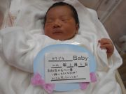 カワブチベビー