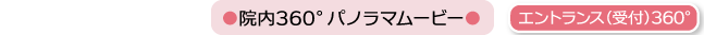 パノラマムービー